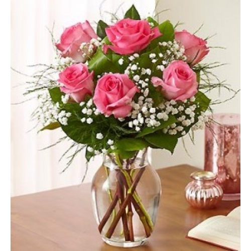 Timeless Love - 6 Stems Vase